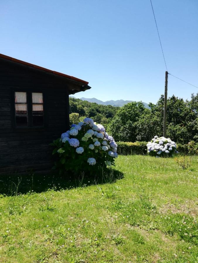 La Casa Nueva Alojamiento Rural Cereceda  Kültér fotó