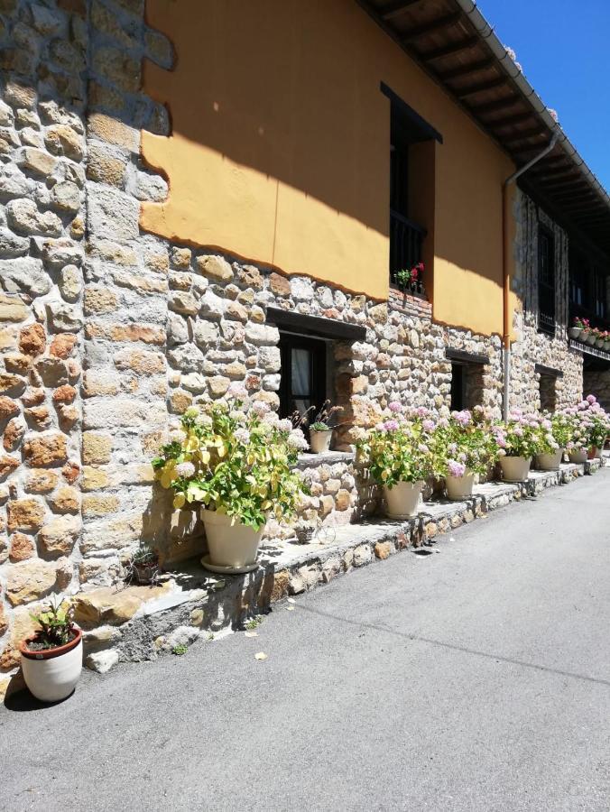 La Casa Nueva Alojamiento Rural Cereceda  Kültér fotó
