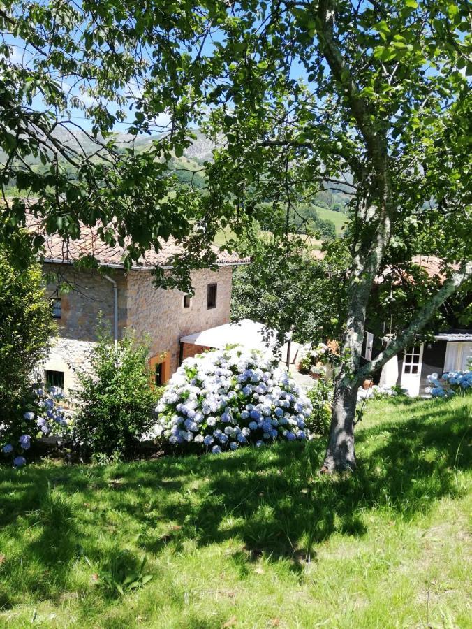 La Casa Nueva Alojamiento Rural Cereceda  Kültér fotó
