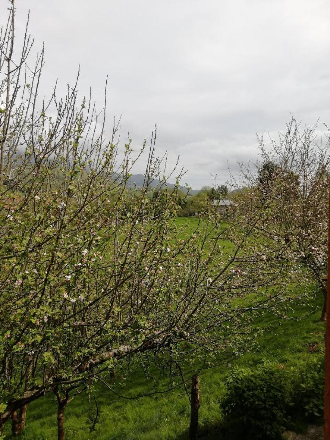 La Casa Nueva Alojamiento Rural Cereceda  Kültér fotó
