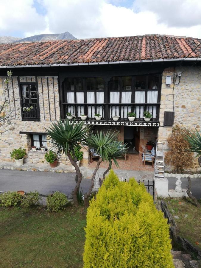 La Casa Nueva Alojamiento Rural Cereceda  Kültér fotó