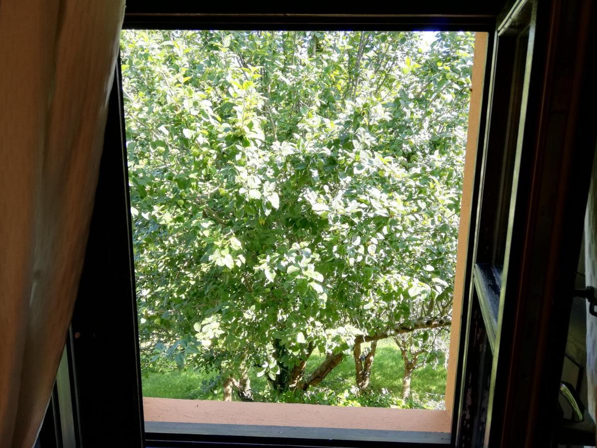 La Casa Nueva Alojamiento Rural Cereceda  Kültér fotó