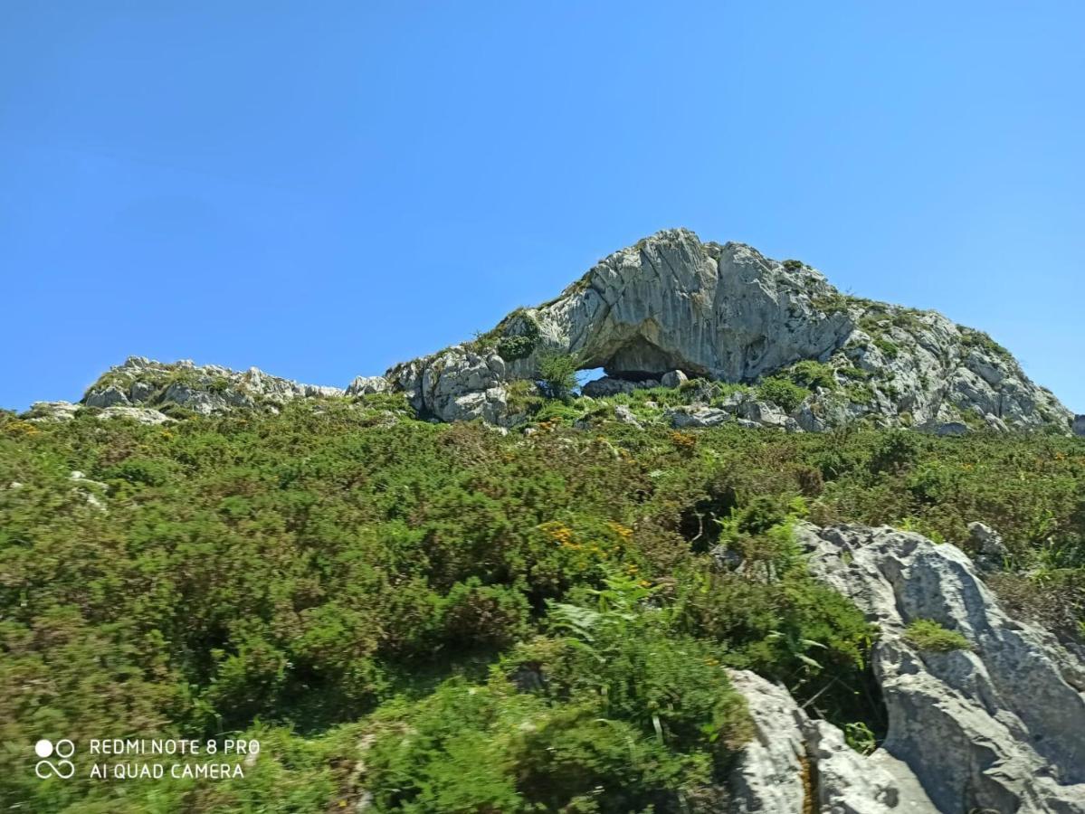 La Casa Nueva Alojamiento Rural Cereceda  Kültér fotó