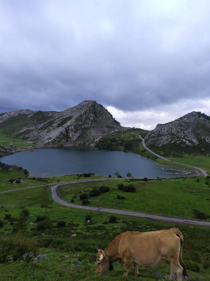 La Casa Nueva Alojamiento Rural Cereceda  Kültér fotó