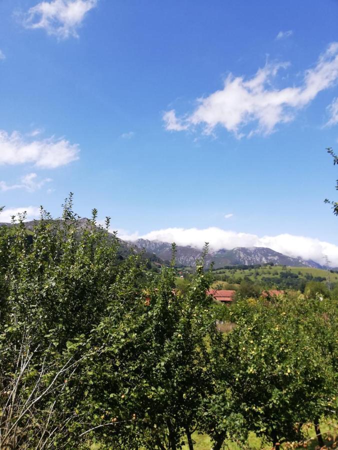 La Casa Nueva Alojamiento Rural Cereceda  Kültér fotó